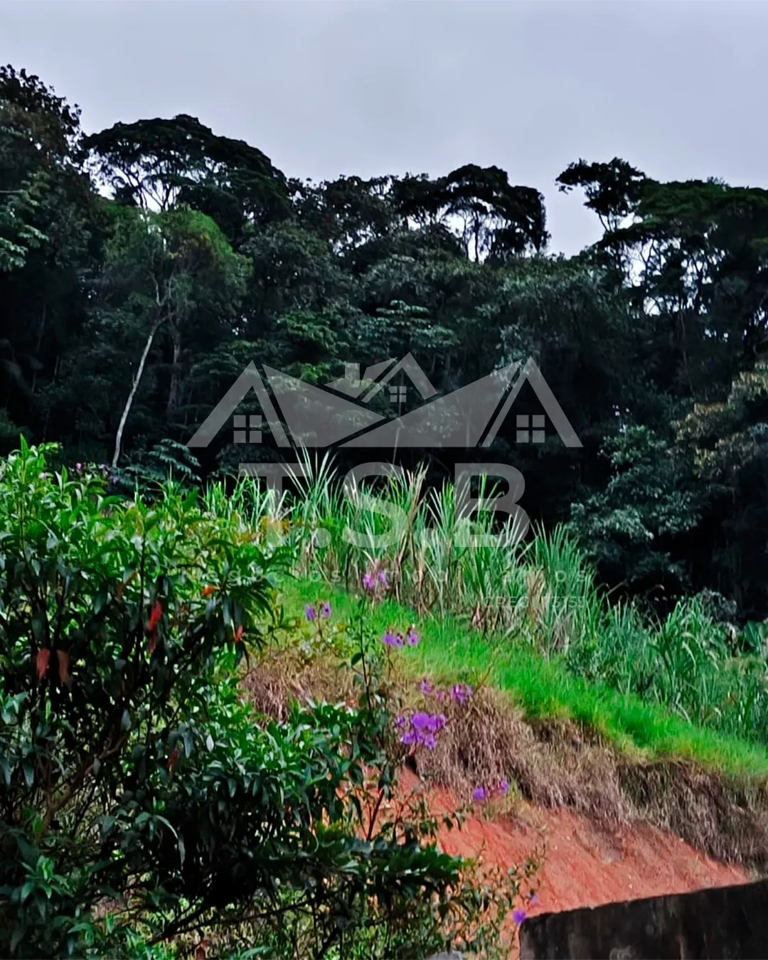 VENDO TERRENO — foto 6