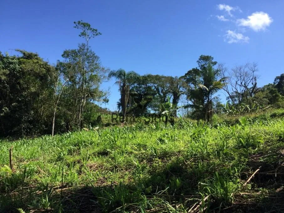 Sítio à venda no bairro Encano em Indaial/SC — foto 7