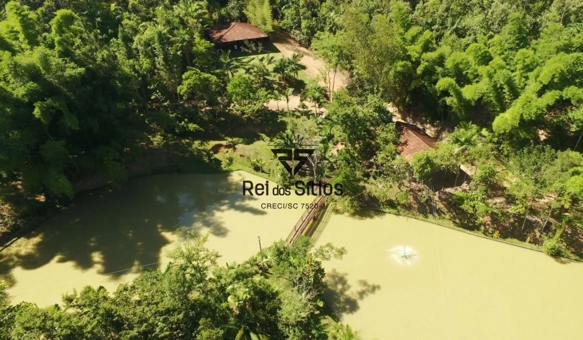 Sítio! O verdadeiro Paraíso! — foto 3