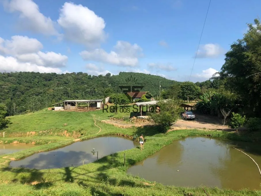 Sítio à venda no bairro Consulte em Presidente Getúlio/SC - foto 1