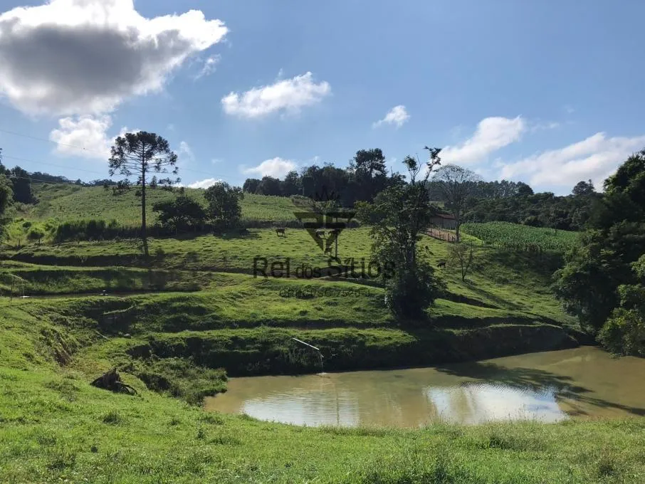 Sítio à venda no bairro Consulte em Presidente Getúlio/SC — foto 4
