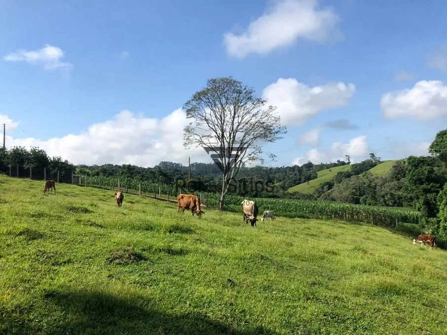 Sítio à venda no bairro Consulte em Presidente Getúlio/SC — foto 5
