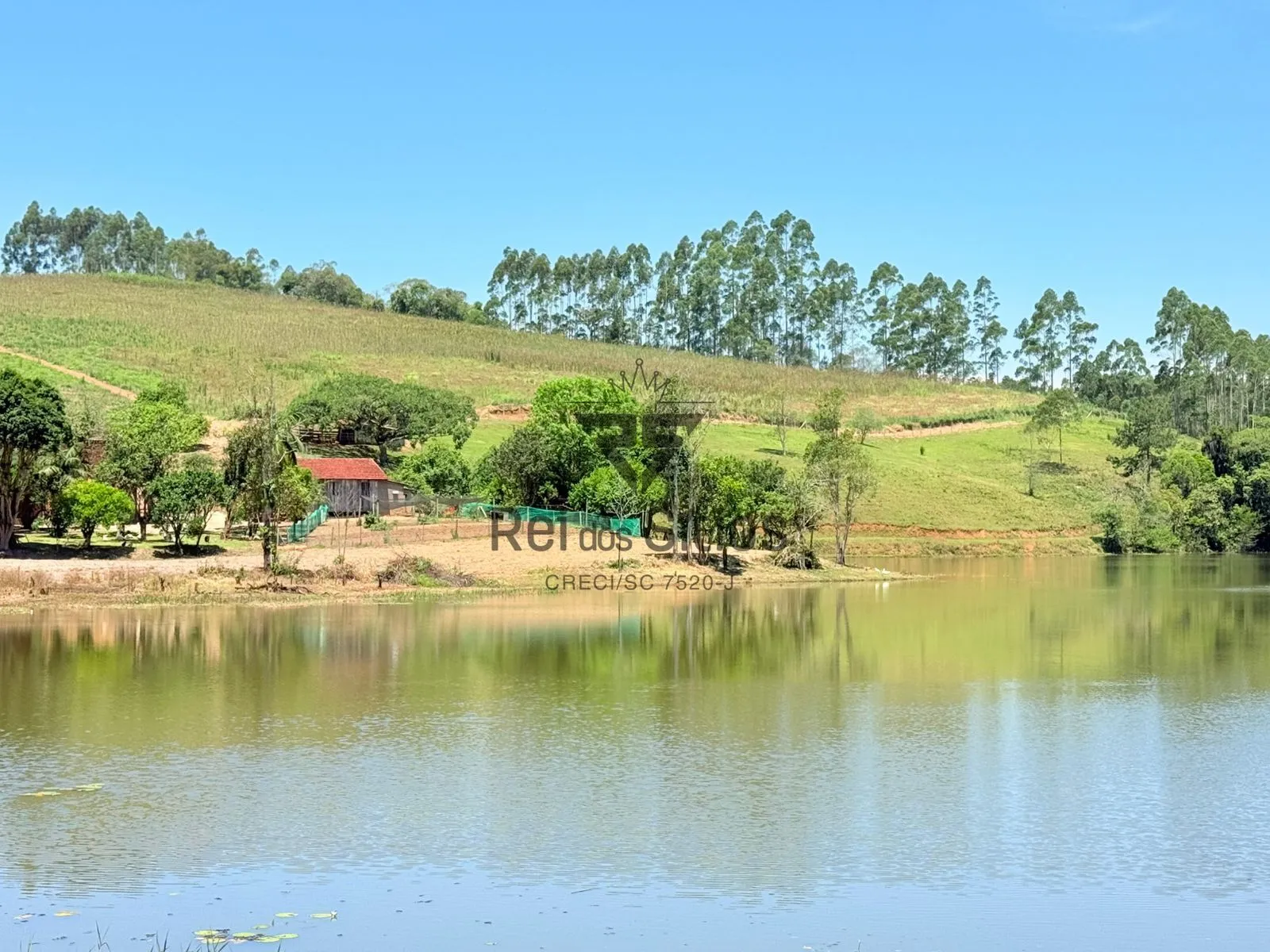 Sítio à venda no bairro Consulte em Lontras/SC — foto 2