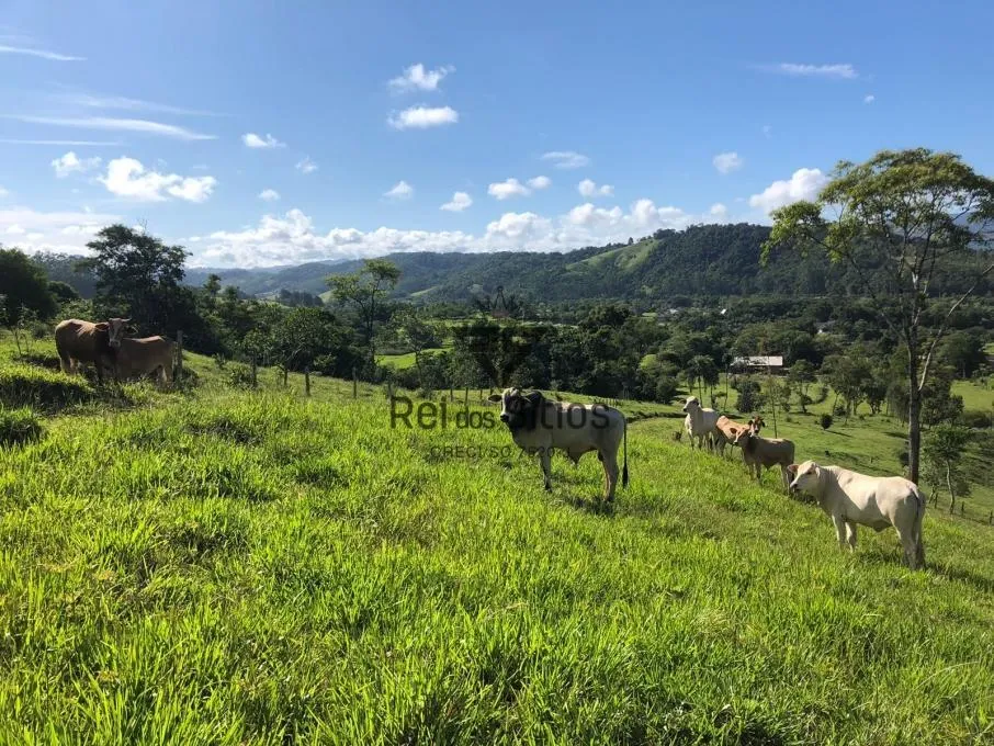 Sítio à venda no bairro Consulte em Rodeio/SC — foto 4