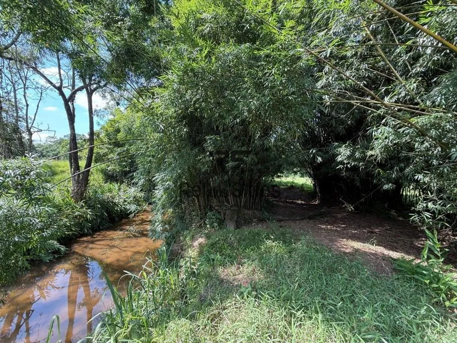 Sítio à venda no bairro Consulte em Ascurra/SC — foto 4