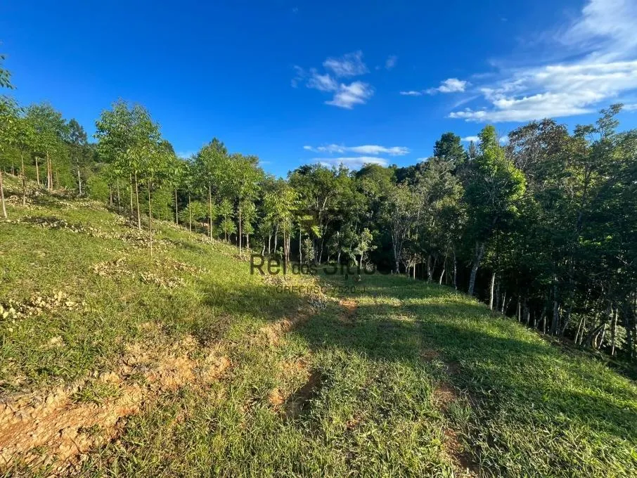 Sítio à venda no bairro Consulte em Ibirama/SC — foto 4
