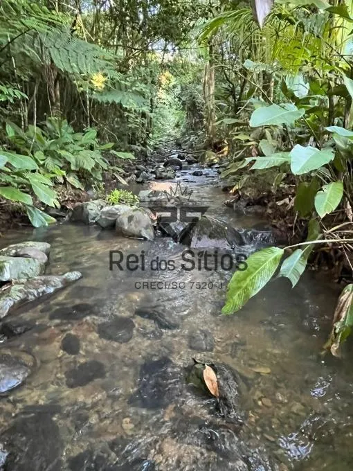 Sítio à venda no bairro Consulte em Ibirama/SC — foto 5