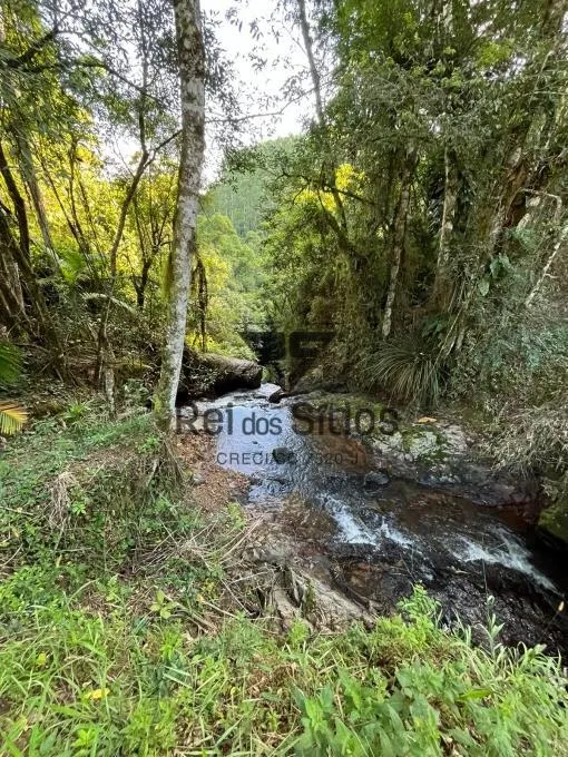Sítio à venda no bairro Consulte em Ibirama/SC — foto 7