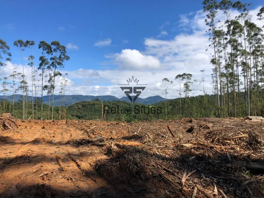 Sítio à venda no bairro Consulte em Rodeio/SC - foto 1