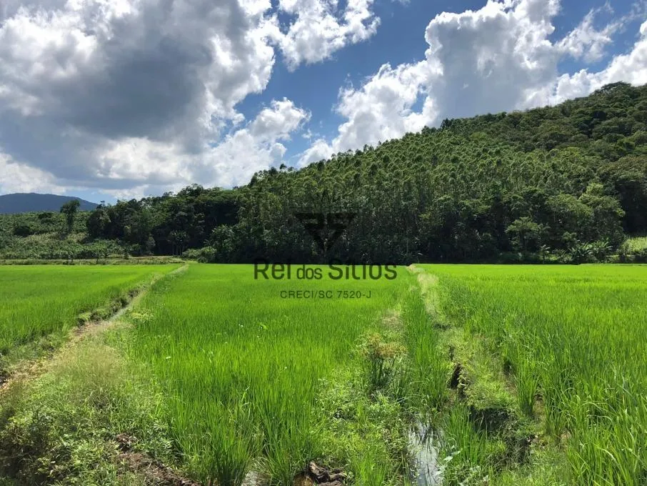 Sítio à venda no bairro Consulte em Rio dos Cedros/SC — foto 5