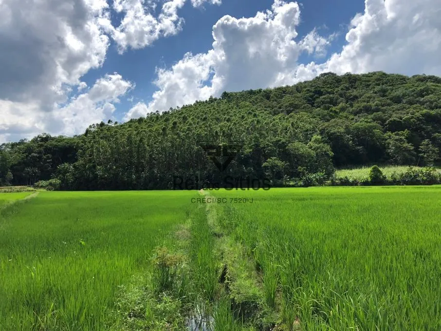 Sítio à venda no bairro Consulte em Rio dos Cedros/SC — foto 6