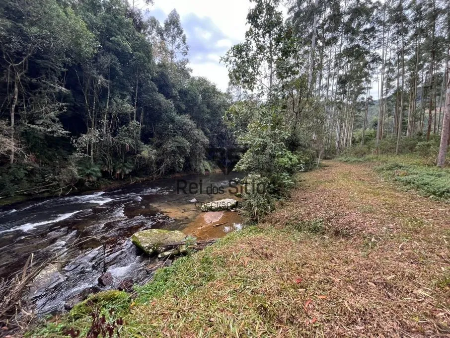 Sítio à venda no bairro Consulte em José Boiteux/SC — foto 4