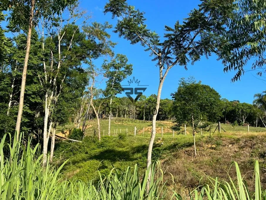 Sítio à venda no bairro Consulte em Ibirama/SC — foto 4