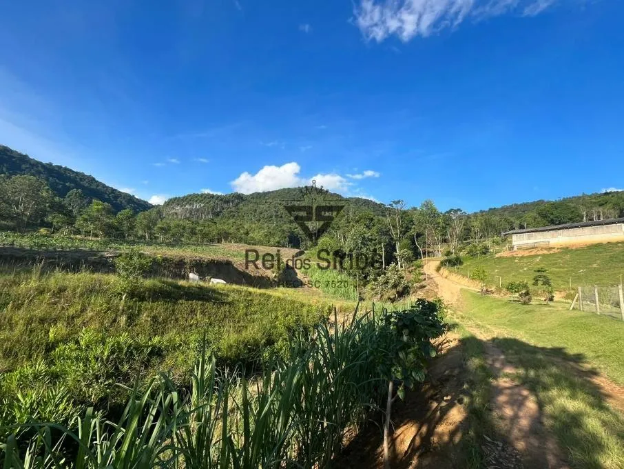 Sítio à venda no bairro Consulte em Ibirama/SC — foto 5