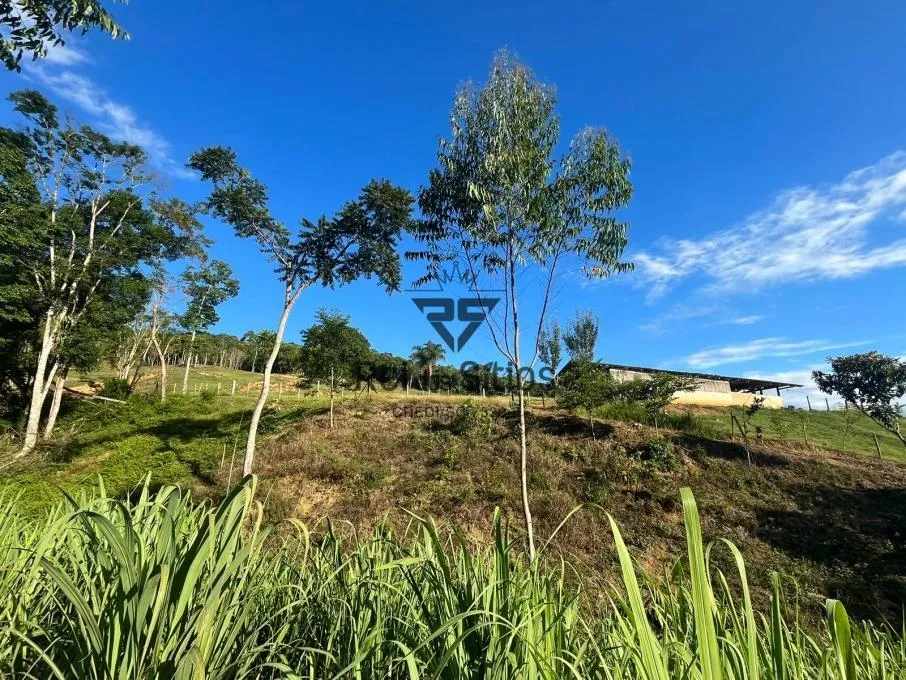 Sítio à venda no bairro Consulte em Ibirama/SC — foto 7