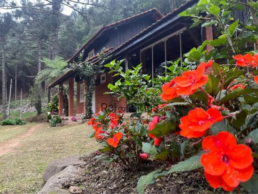 Sítio à venda no bairro Consulte em Ibirama/SC - foto 1