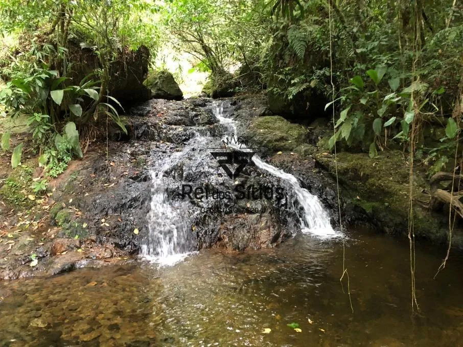 Sítio à venda no bairro Consulte em Ibirama/SC — foto 3
