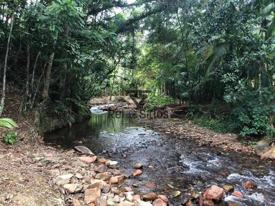 Sítio à venda no bairro Constulte em Apiúna/SC — foto 4