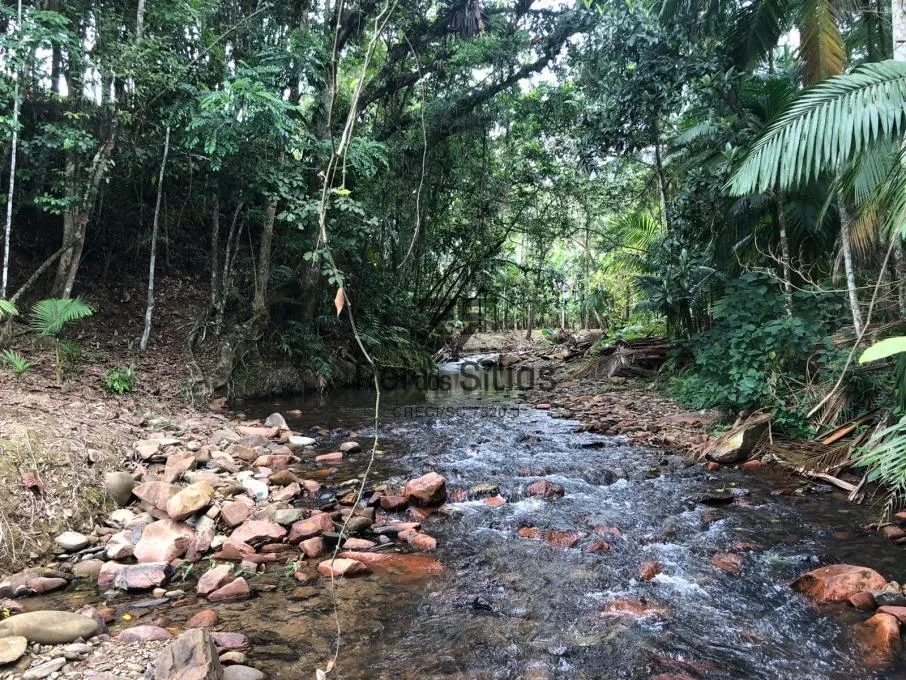 Sítio à venda no bairro Constulte em Apiúna/SC — foto 5