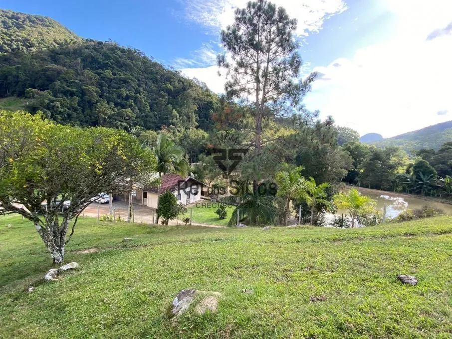Sítio à venda no bairro Constulte em Apiúna/SC — foto 4