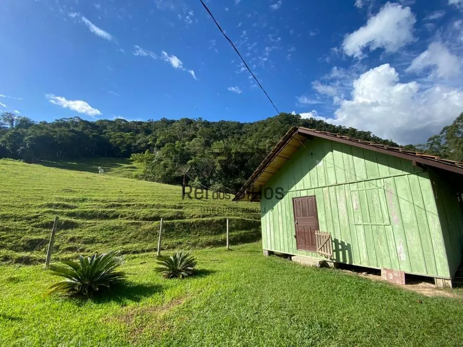 Sítio à venda no bairro Constulte em Apiúna/SC — foto 7