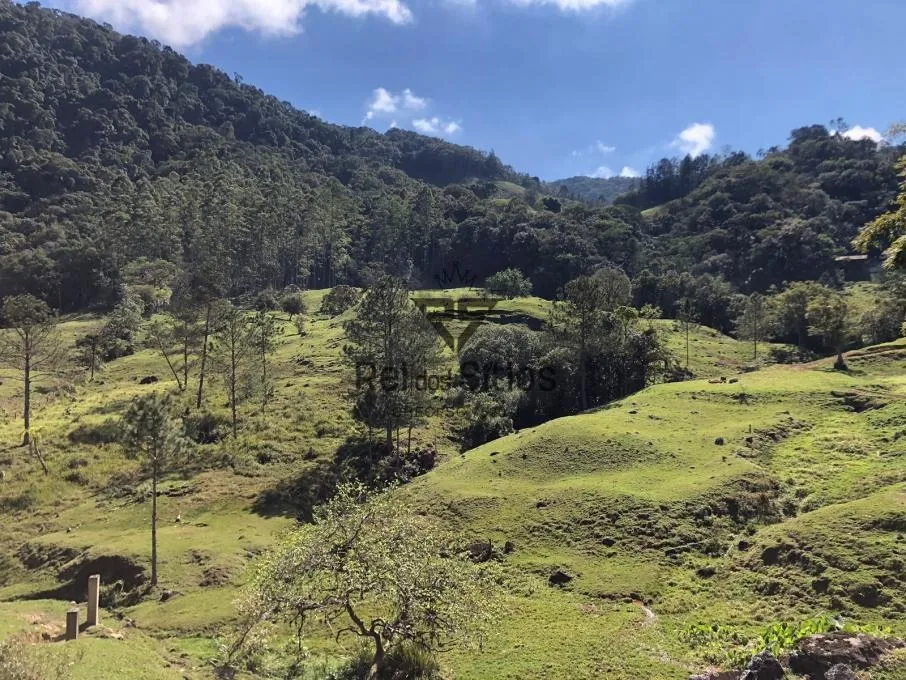 Sítio à venda no bairro Consulte em Benedito Novo/SC - foto 1