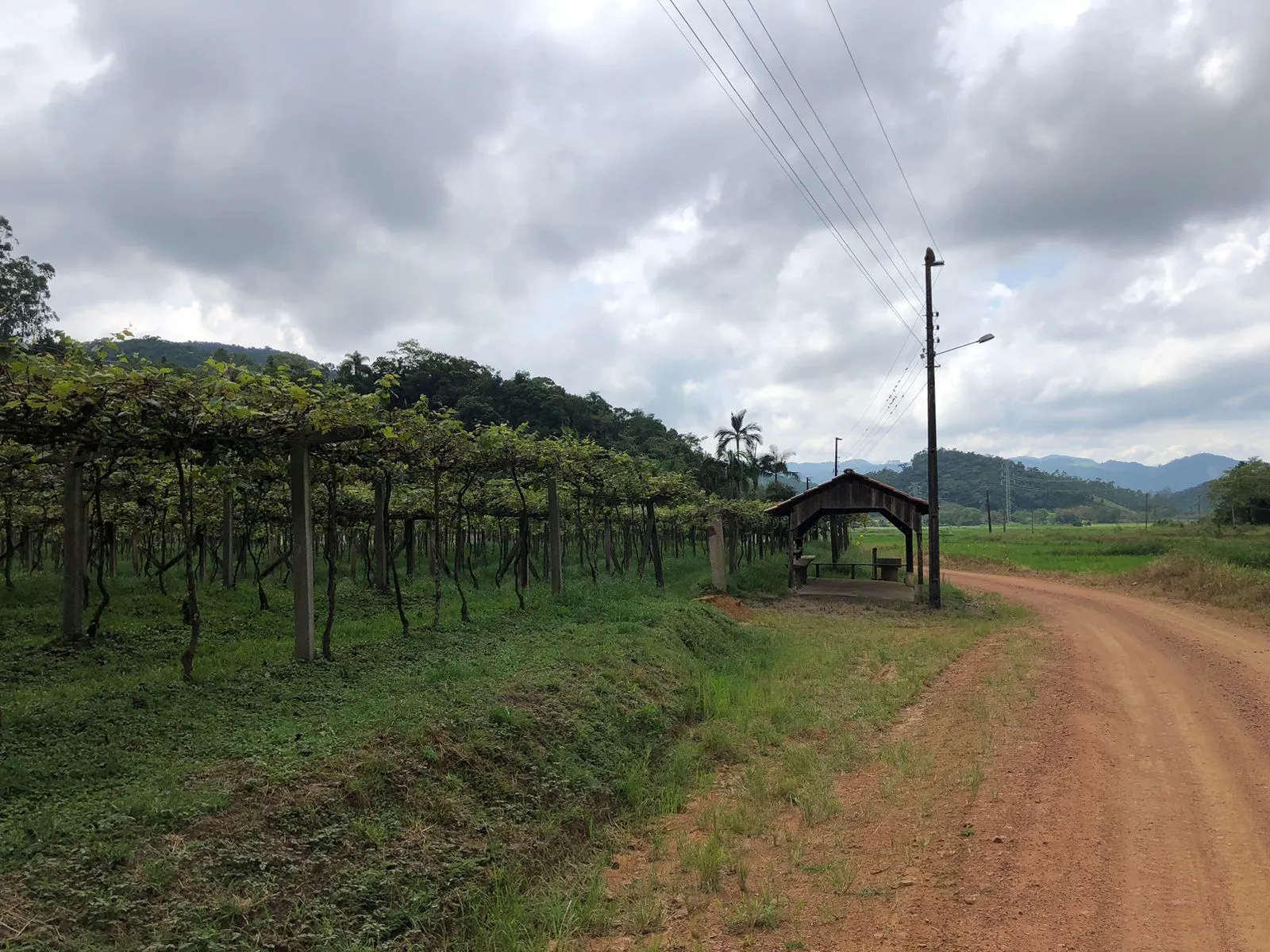 Terreno Rural para Chácara! — foto 2