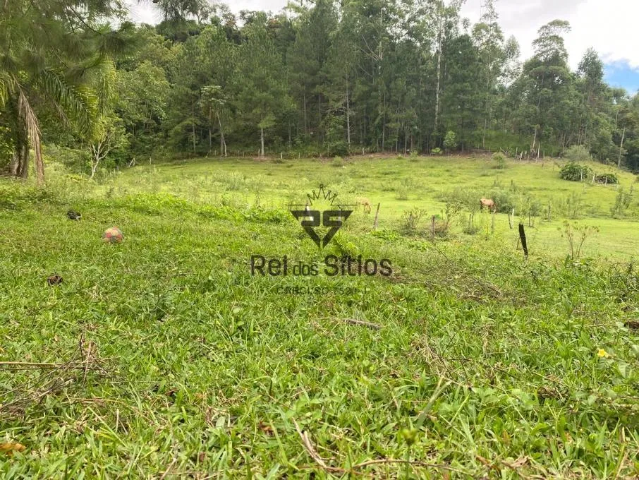 Sítio à venda no bairro Dalbérgia em Ibirama/SC — foto 3