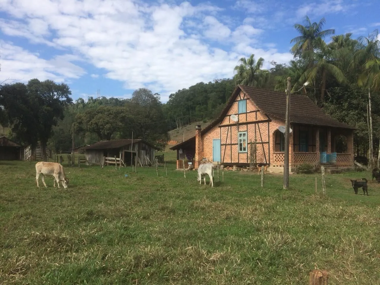 Sítio à venda no bairro Testo Central em Pomerode/SC — foto 5