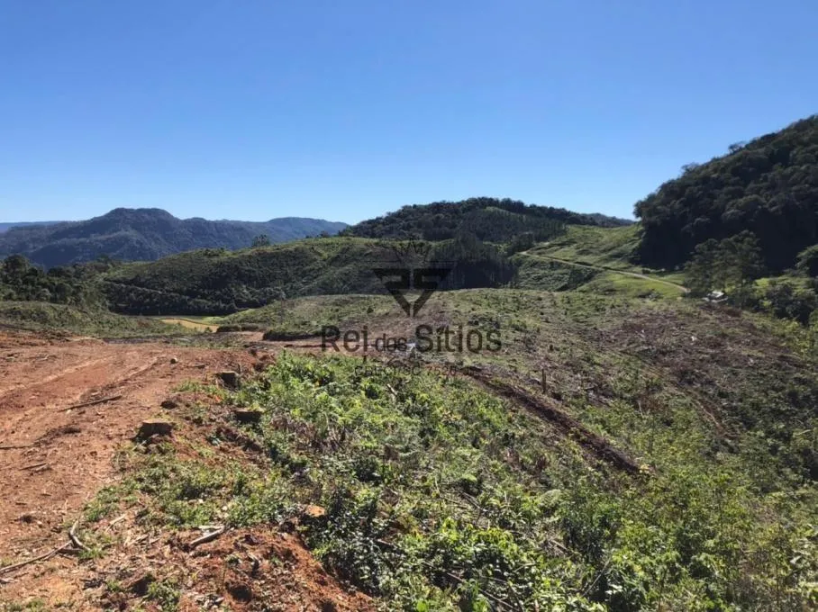 Sítio à venda no bairro Consulte em Benedito Novo/SC — foto 7