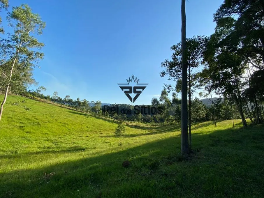 Sítio à venda no bairro Consulte em Ibirama/SC — foto 3