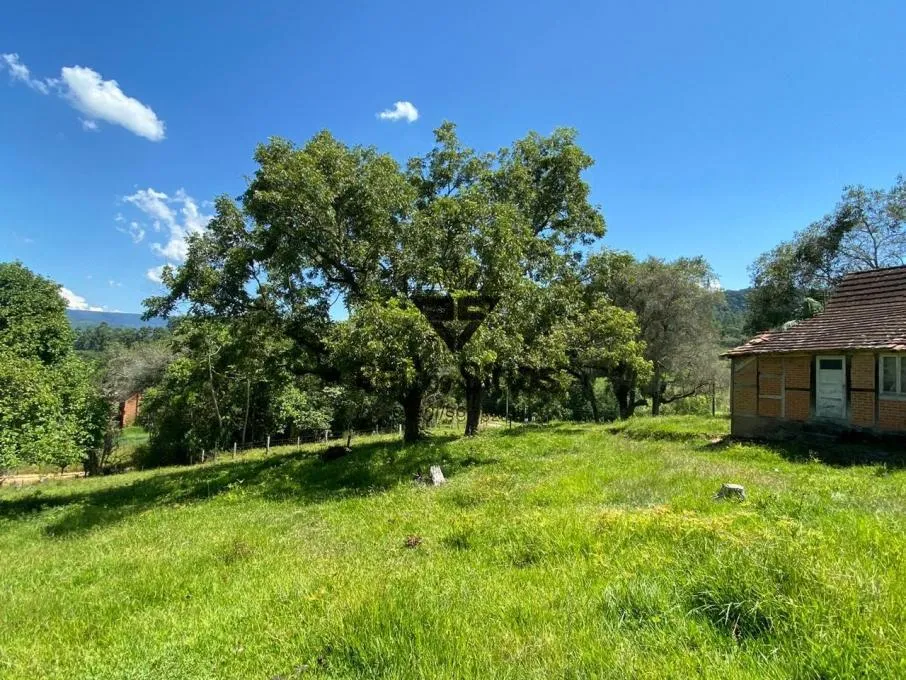 Sítio à venda no bairro Consulte em Ibirama/SC — foto 5
