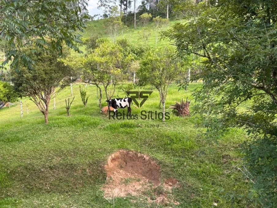 Sítio à venda no bairro Constulte em Apiúna/SC — foto 5