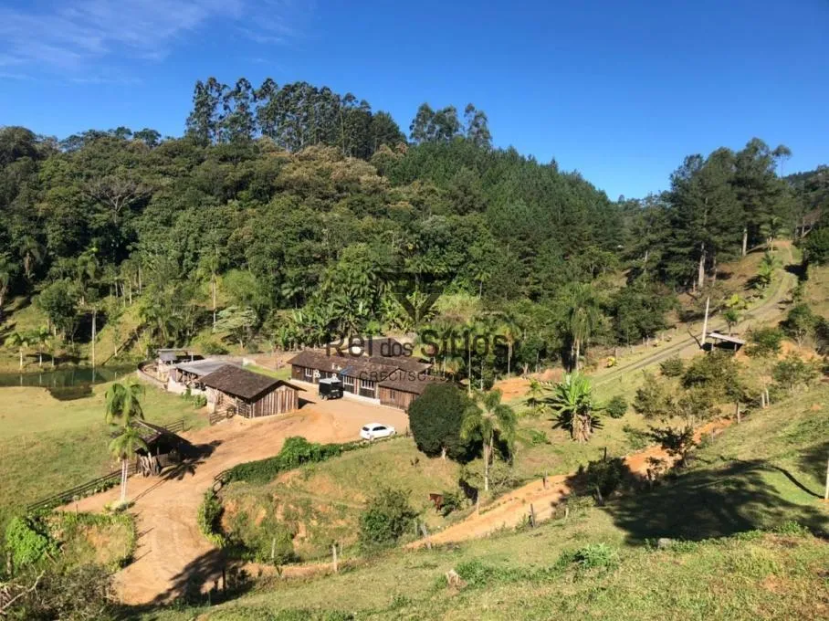 Sítio à venda no bairro Consulte em Benedito Novo/SC - foto 1
