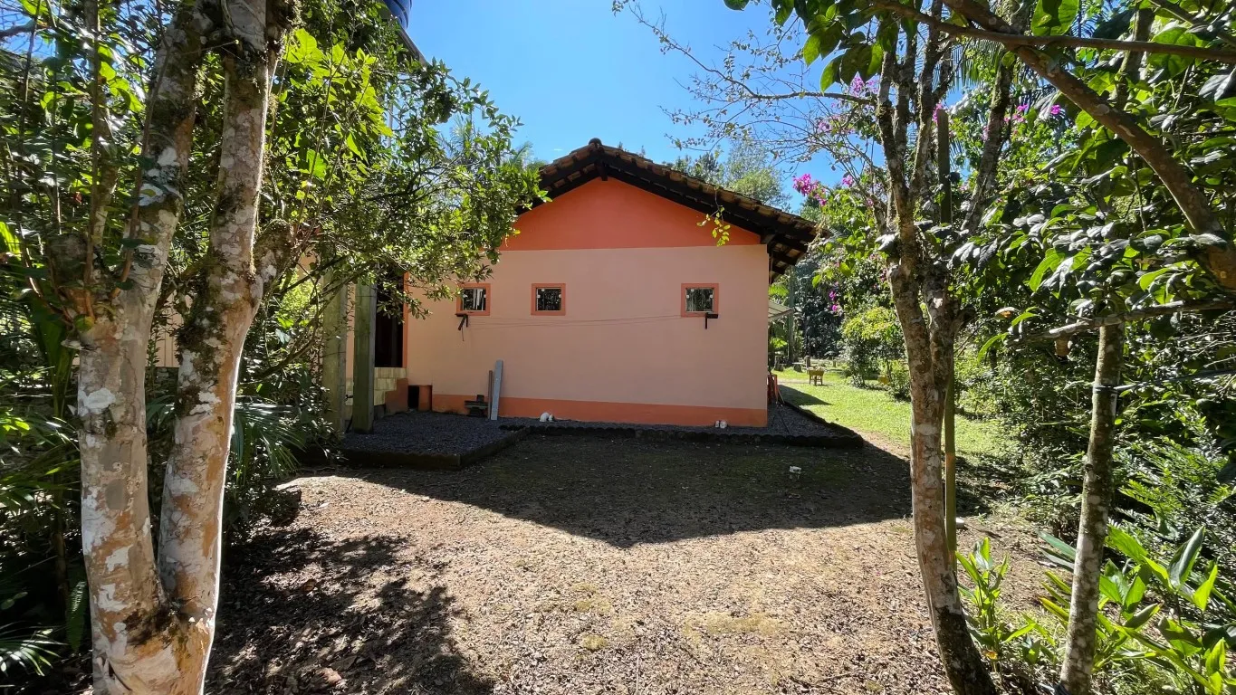 Sitio a Venda em Benedito Novo- Bairro Ribeirão das Antas — foto 3