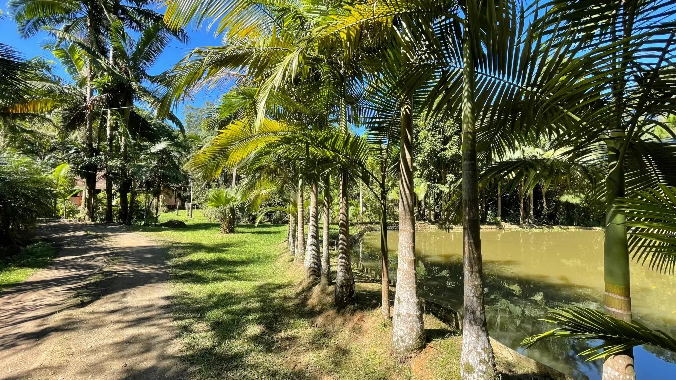 Sitio a Venda em Benedito Novo- Bairro Ribeirão das Antas — foto 4