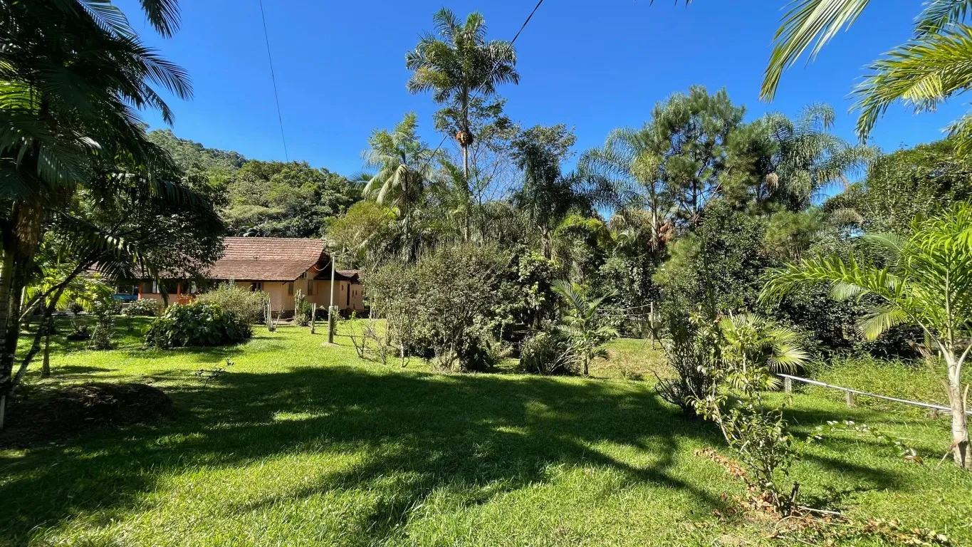 Sitio a Venda em Benedito Novo- Bairro Ribeirão das Antas — foto 6
