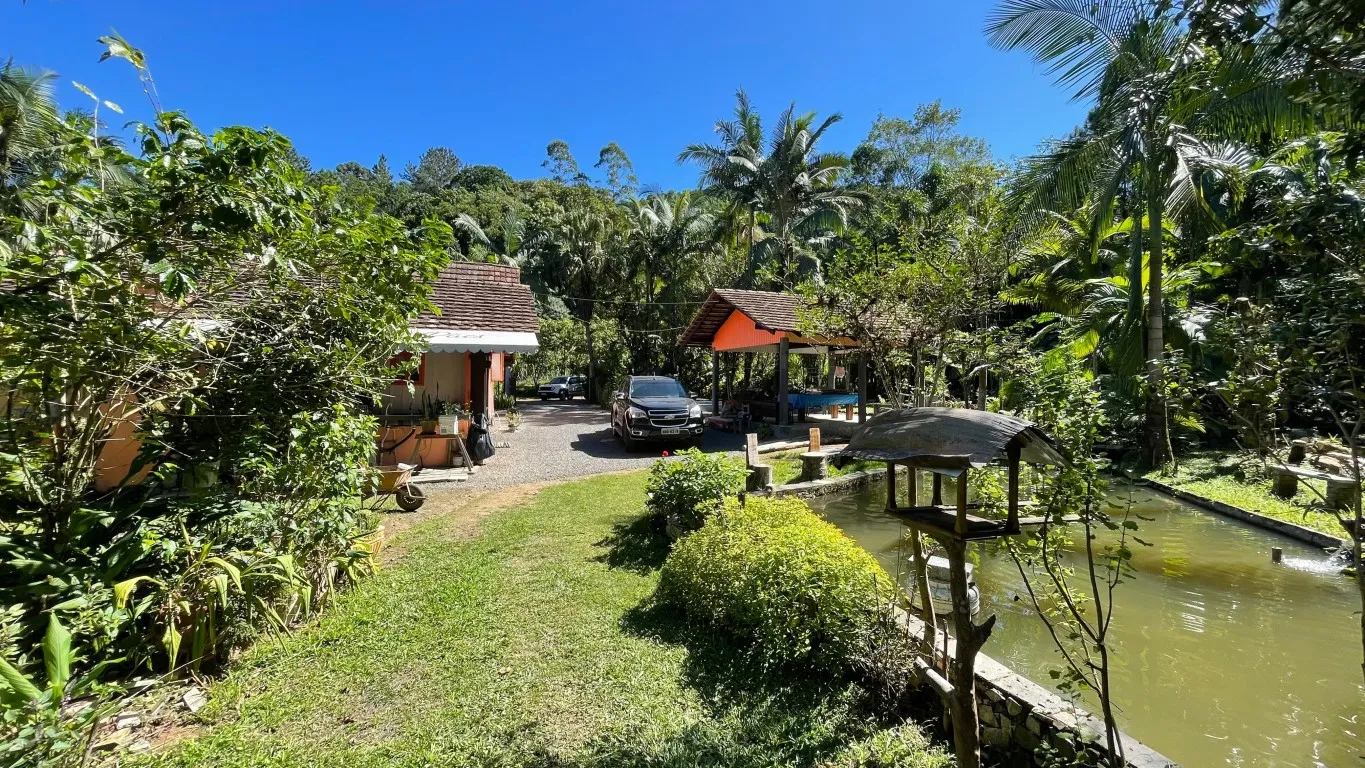 Sitio a Venda em Benedito Novo- Bairro Ribeirão das Antas — foto 7