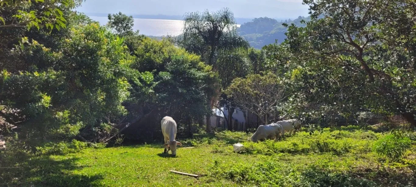 Imóvel — foto 4