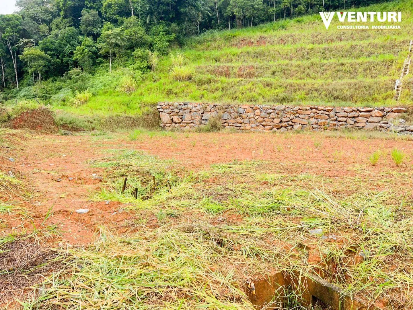 Terreno à venda, 3200 m por R$ 1.900.000,00 - Fortaleza - Blumenau/SC — foto 5