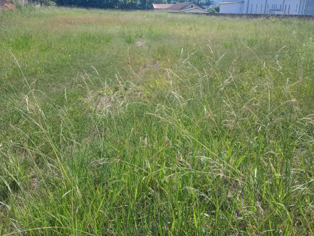 EXCELENTE TERRENO 3.622M2 - PRÓXIMO A BR470 - DIVISA COM BLUMENAU - foto 1