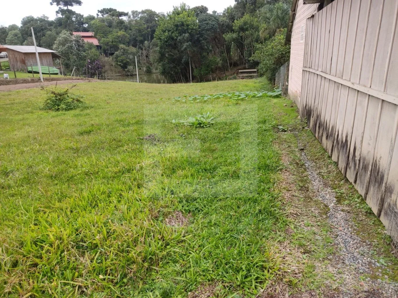 Terrenos à venda na Barragem do Pinhal - Alto Cedros/SC — foto 4