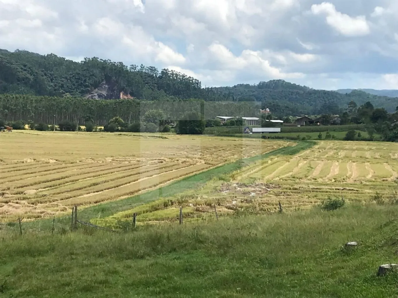 Chácara com 44 hectares em Doutor Pedrinho - SC — foto 2