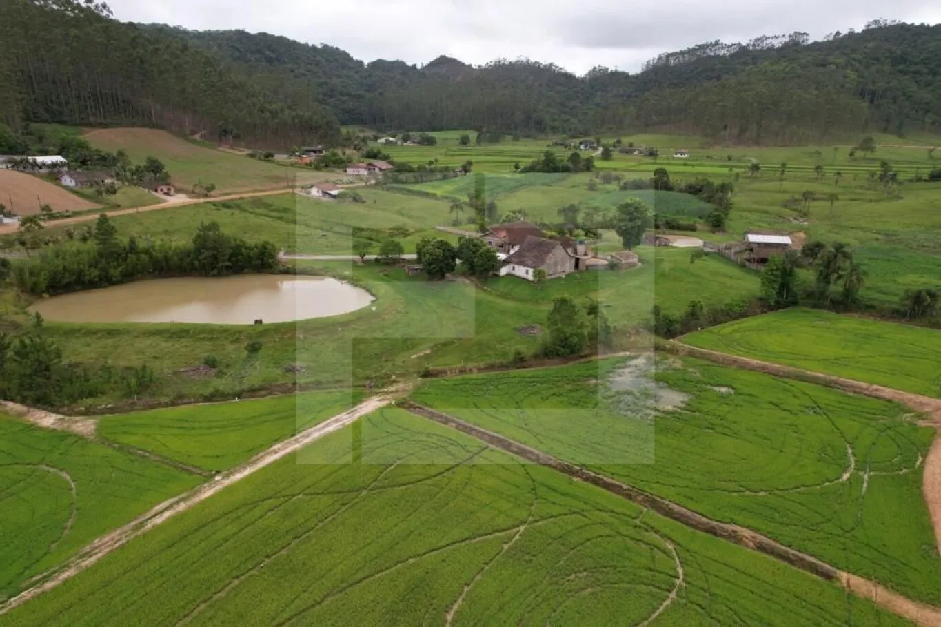 Chácara com 44 hectares em Doutor Pedrinho - SC — foto 3