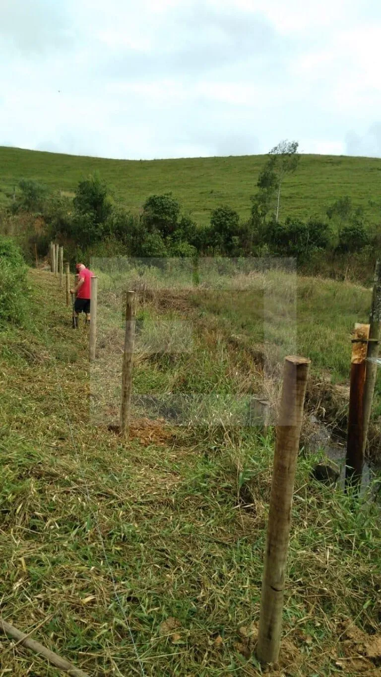 Chácara com 44 hectares em Doutor Pedrinho - SC — foto 4