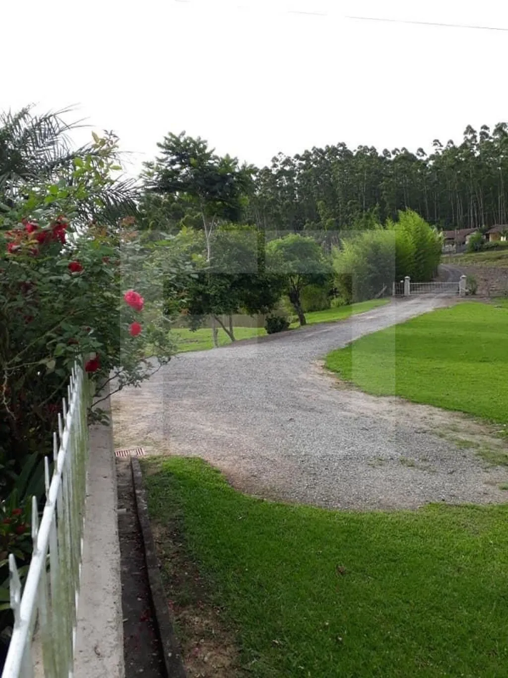Chácara com 44 hectares em Doutor Pedrinho - SC — foto 5
