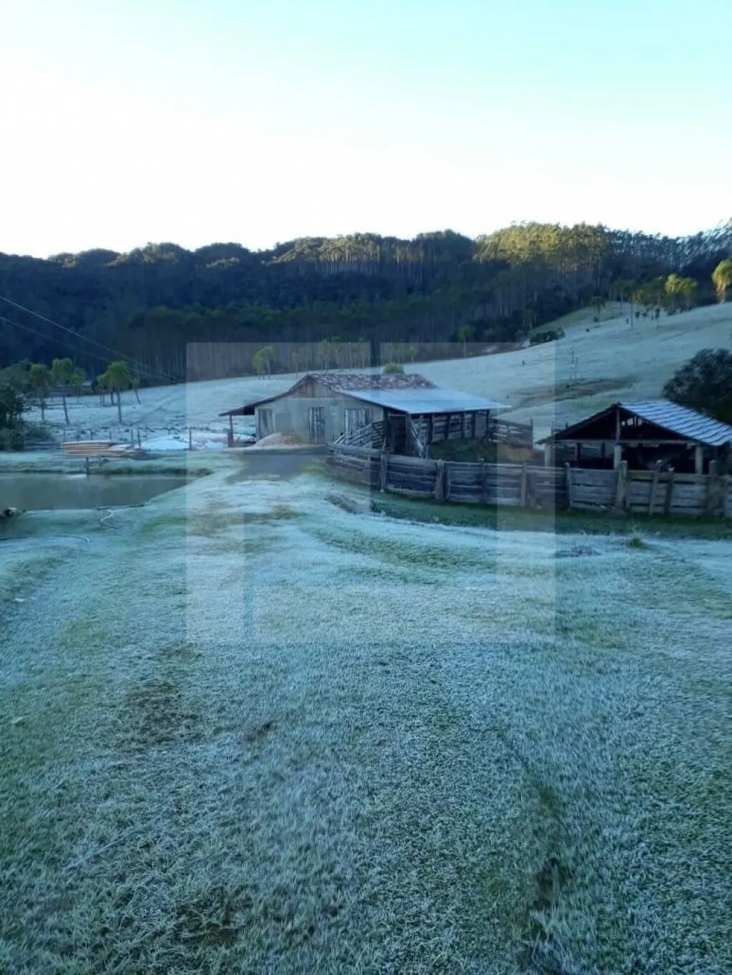 Chácara com 44 hectares em Doutor Pedrinho - SC — foto 6