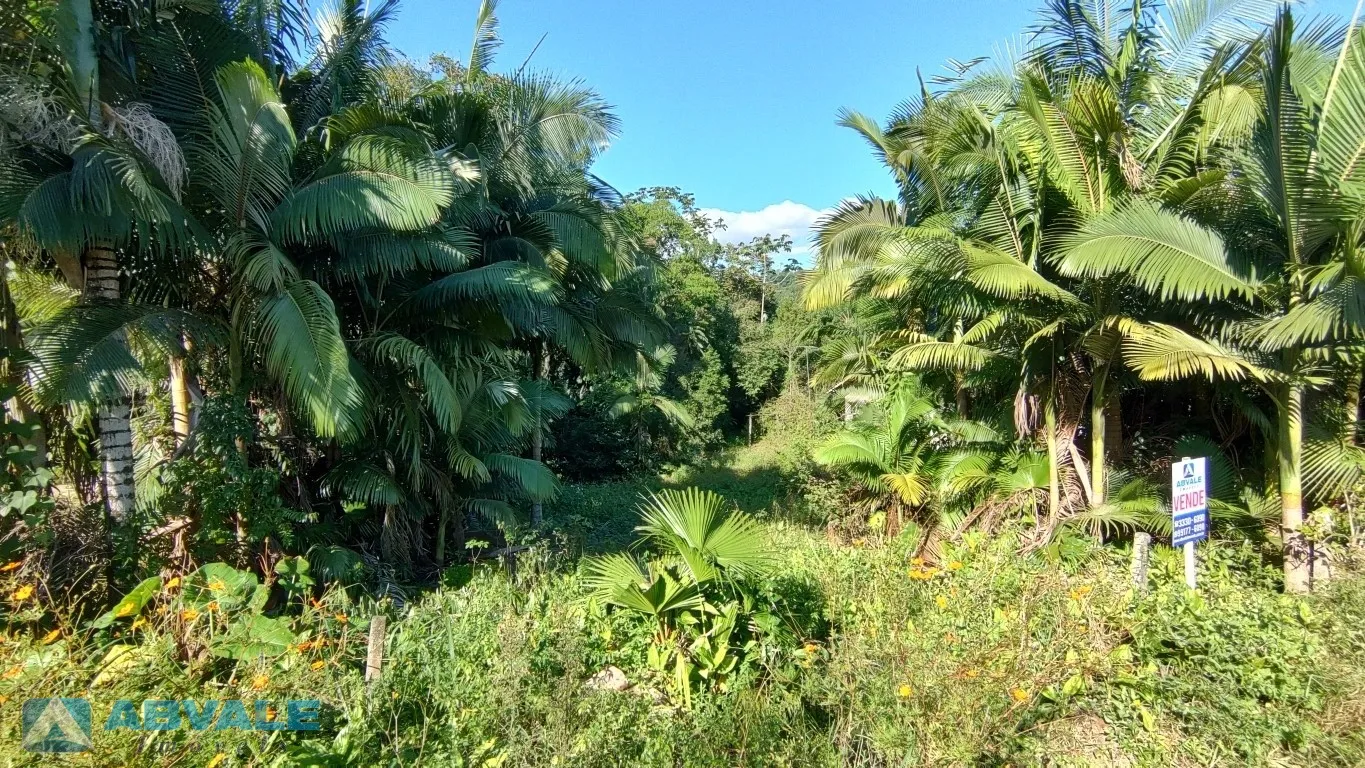 3674m - Amplo Terreno à Venda no Bairro Fidélis - Blumenau/SC — foto 5