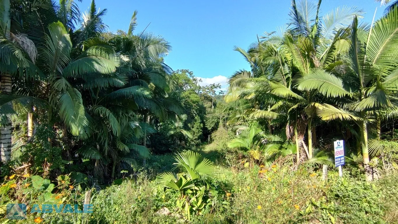 3674m - Amplo Terreno à Venda no Bairro Fidélis - Blumenau/SC — foto 6