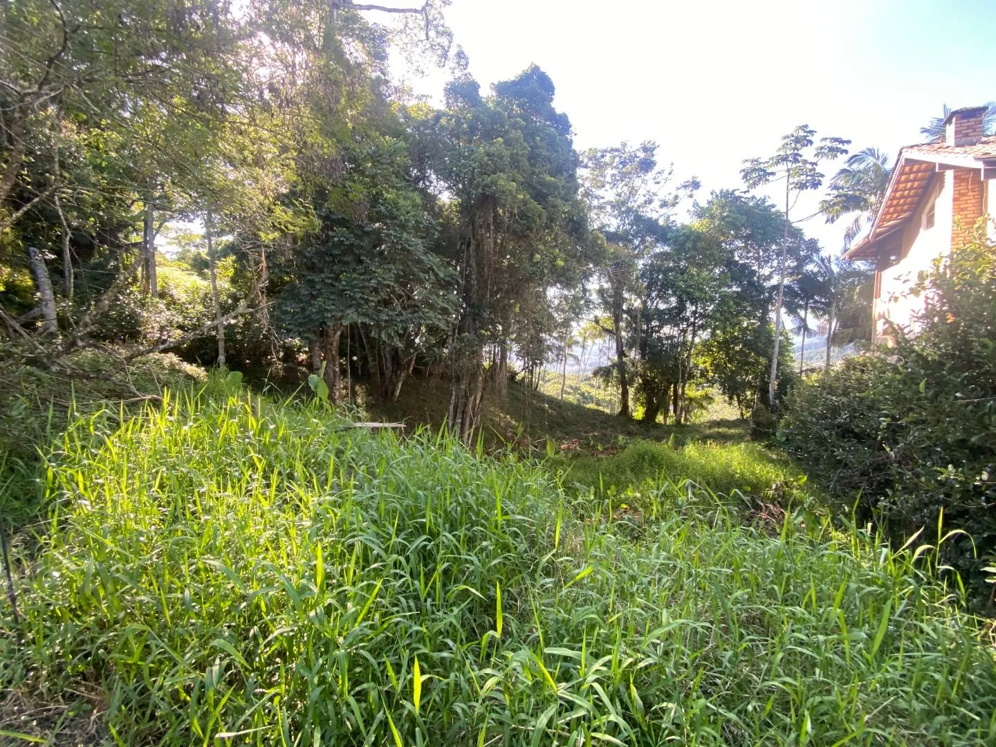 Terreno com projeto aprovado de casa de cinema! — foto 7